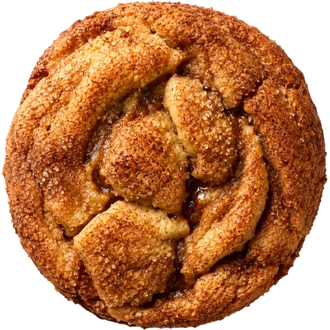 Snickerdoodle cookie